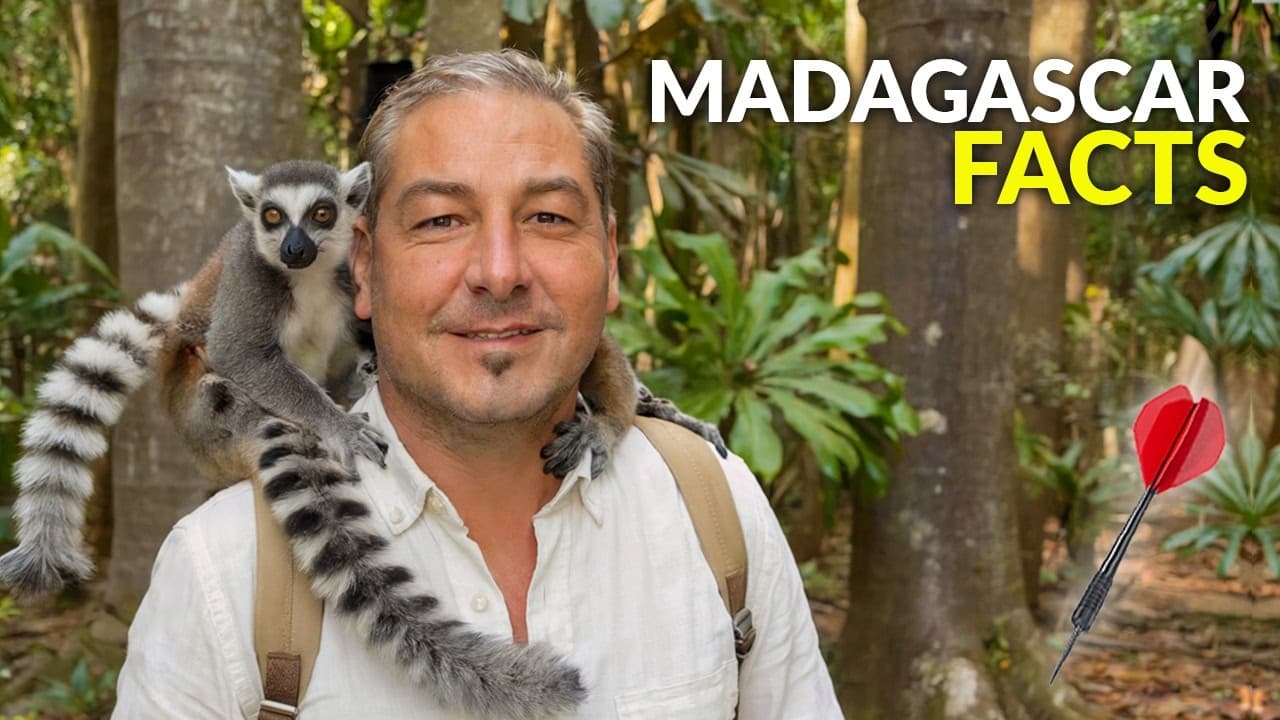 Madagascar — Travel by Dart — video thumbnail