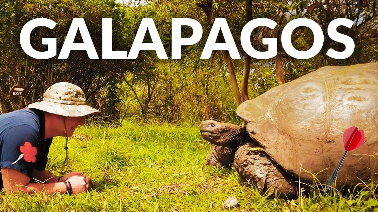 Galápagos — Travel by Dart — video thumbnail