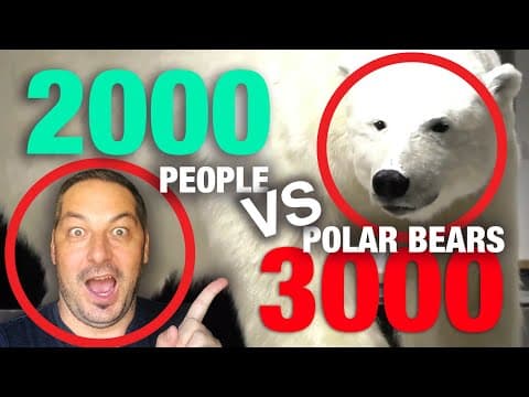 Svalbard — Travel by Dart episode