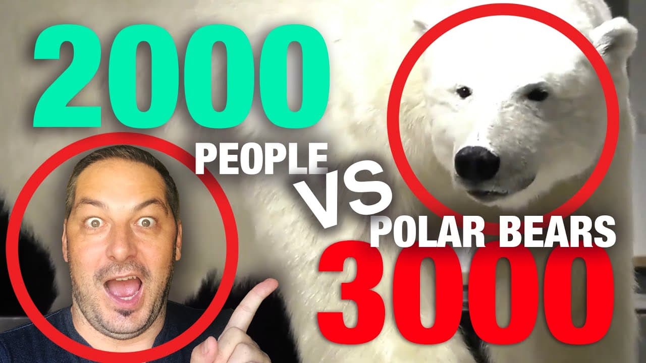 Svalbard — Travel by Dart — video thumbnail