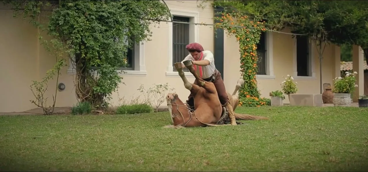 A gaucho working a horse at an estancia near San Antonio de Areco, Argentina