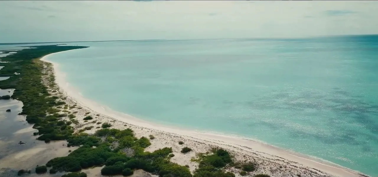 Aerial view of the long empty pink-sand beach of Barbuda
