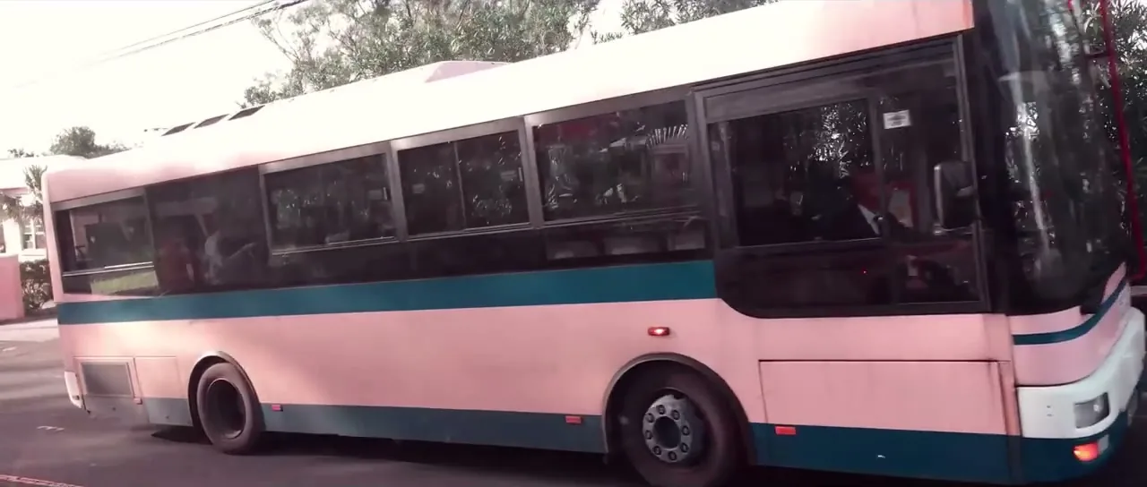 A pink public bus on a road in Bermuda