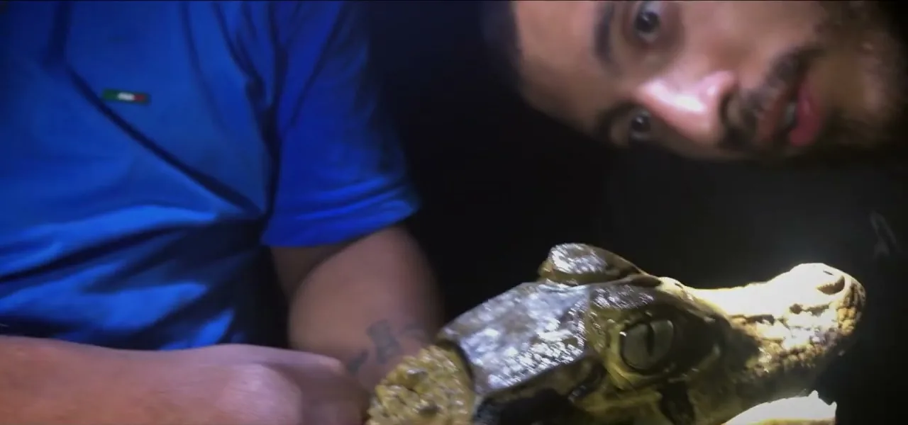 A guide holding a caiman caught at night in the Amazon near Manaus, Brazil