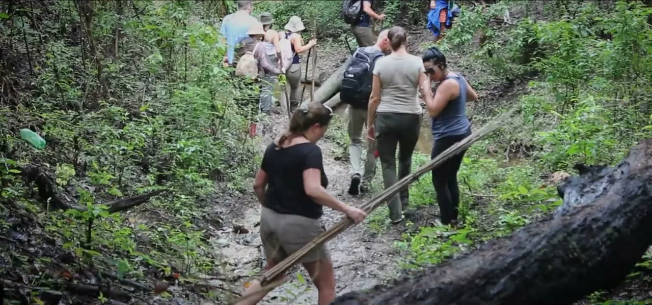 The group hiking through muddy rainforest with backpacks toward their jungle camp in the Amazon, Brazil