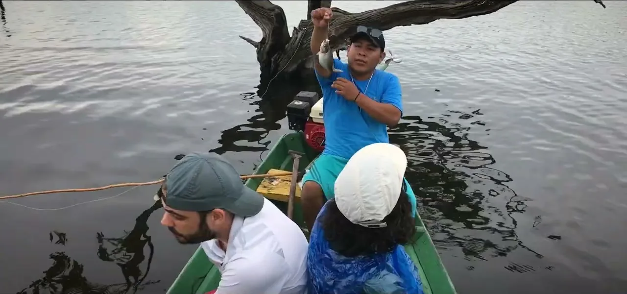 A freshly caught piranha held up on a simple stick-and-line rig in the Amazon, Brazil