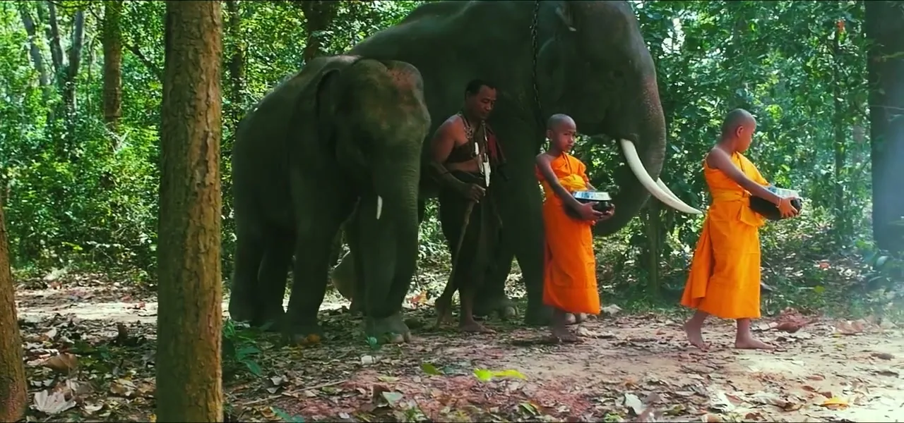 Young Buddhist monks in orange robes beside an elephant in the Cambodian jungle