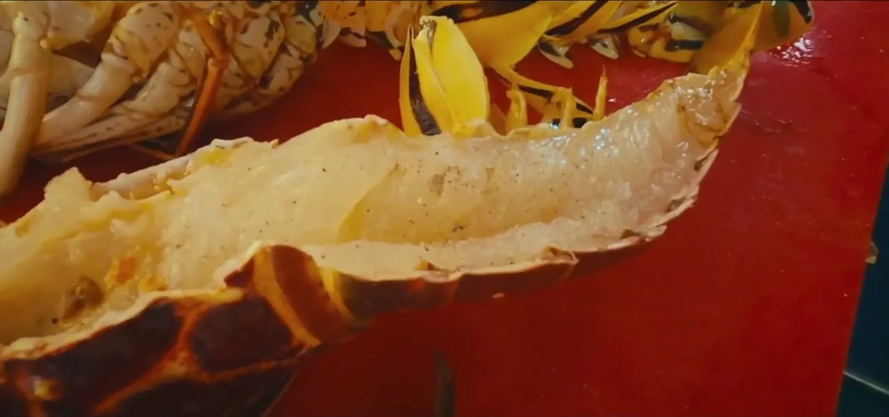 A grilled Caribbean lobster on the grill in the Cayman Islands