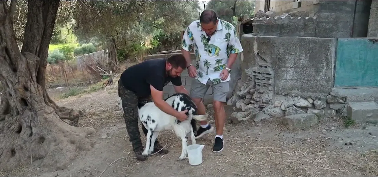 Sorin learning to milk a goat from a local shepherd in Crete
