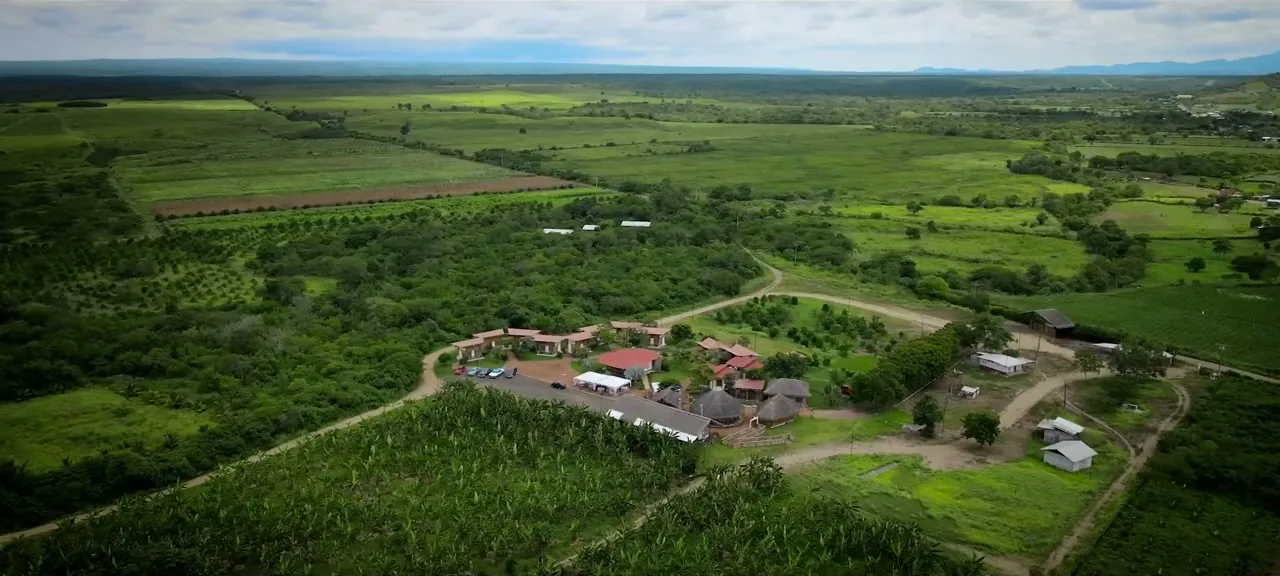 Aerial view of a coffee and cocoa plantation in the Ecuadorian countryside