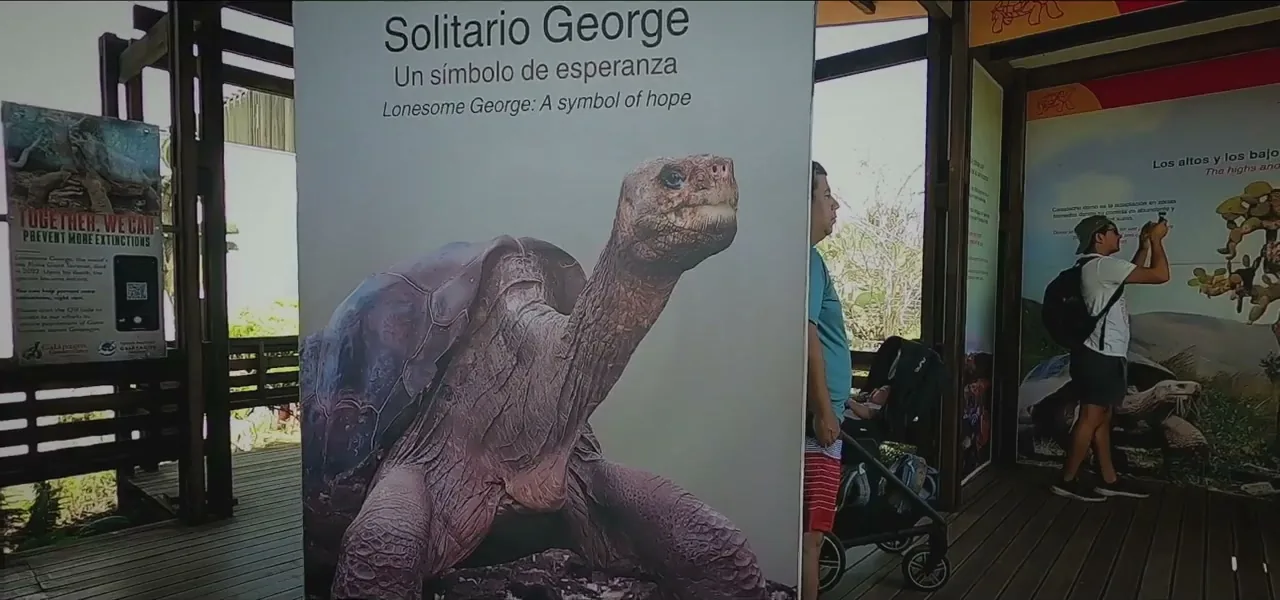 A memorial display for Lonesome George, the last Pinta Island tortoise, in the Galápagos