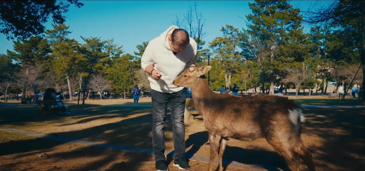 Sorin bending down to feed a sacred deer in Nara Park