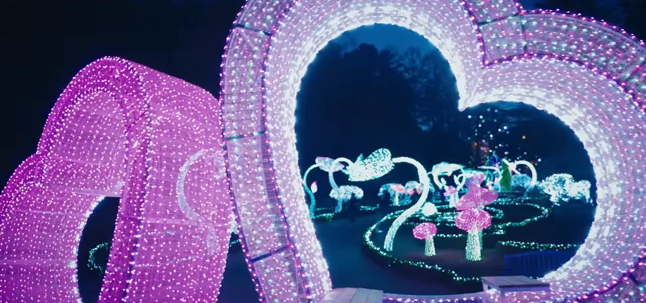 Illuminated light displays at the Garden of Morning Calm at night, South Korea